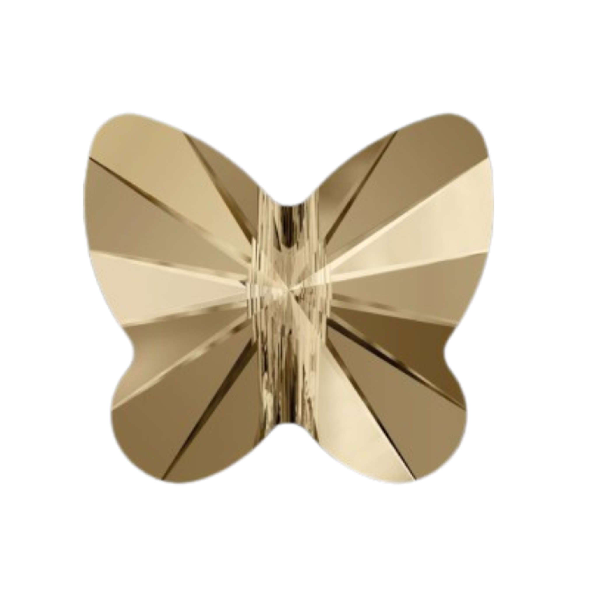 Mariposa 8mm Color