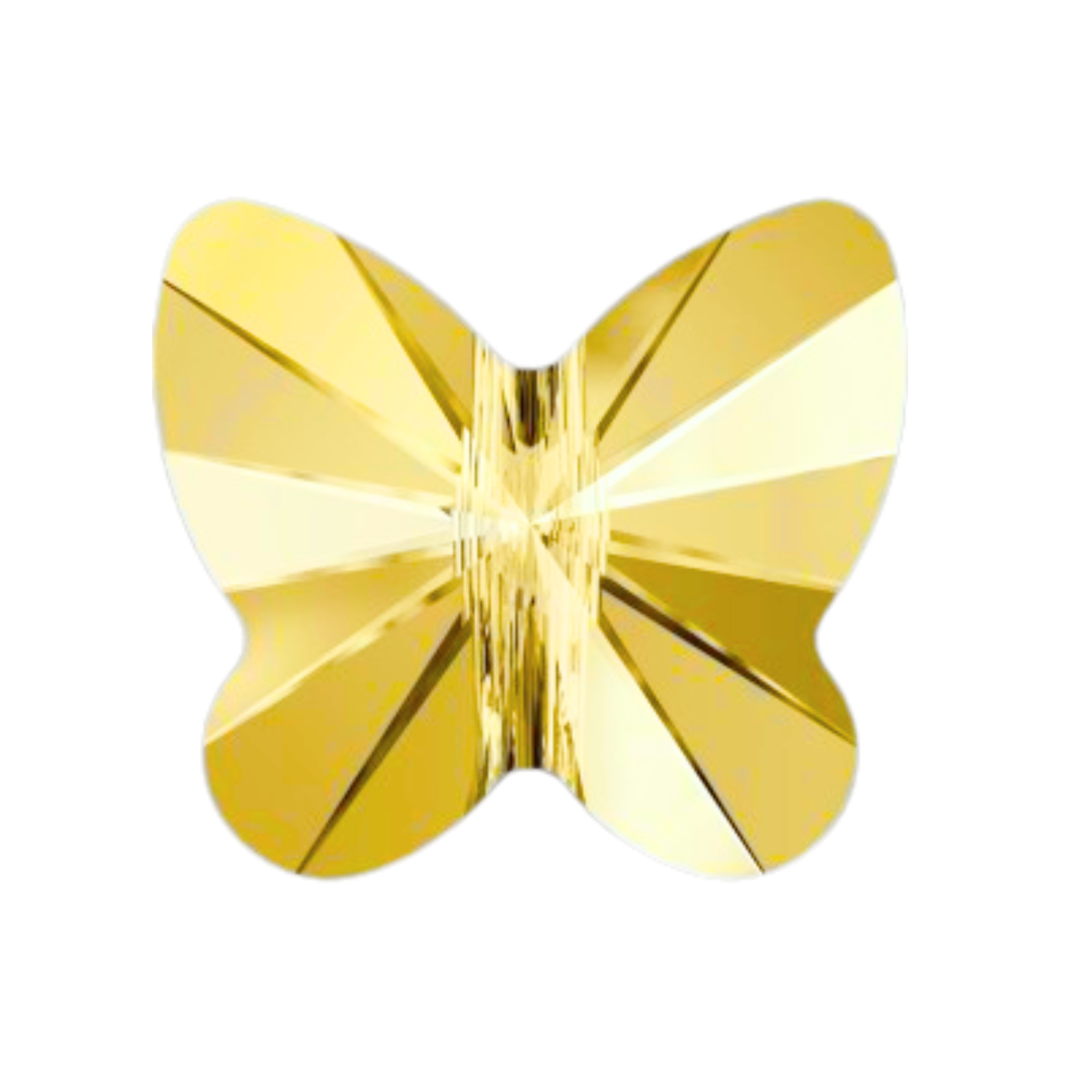 Mariposa 8mm Color
